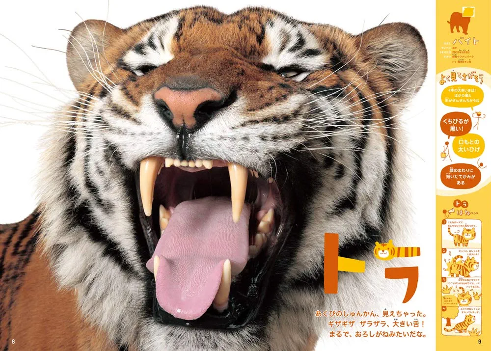 ほんとのおおきさ（４巻セット）/Ｇａｋｋｅｎ（大型本） neobk-2375744.jpg